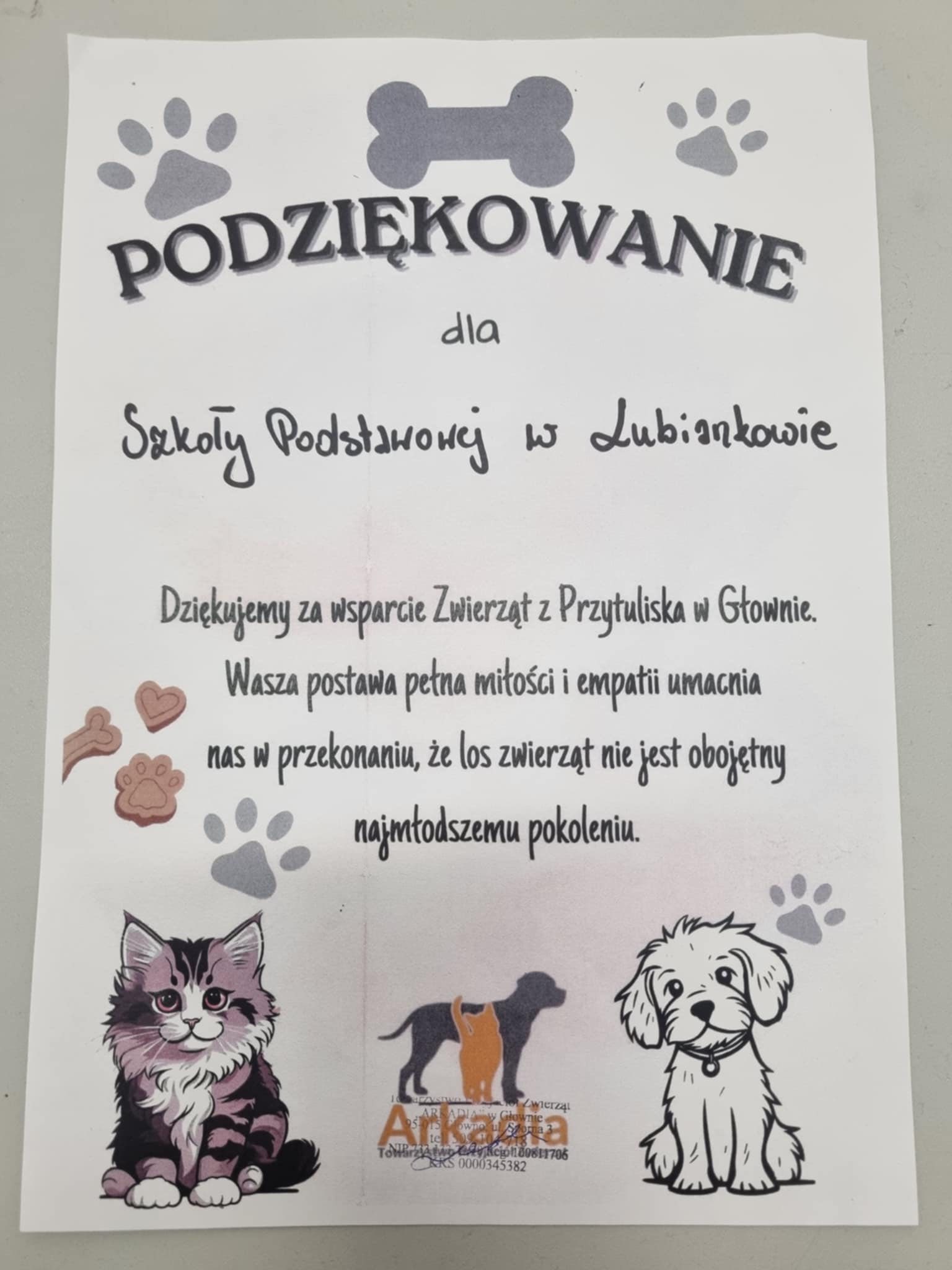 Dary dla schroniska dla zwierząt